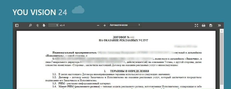 Document view